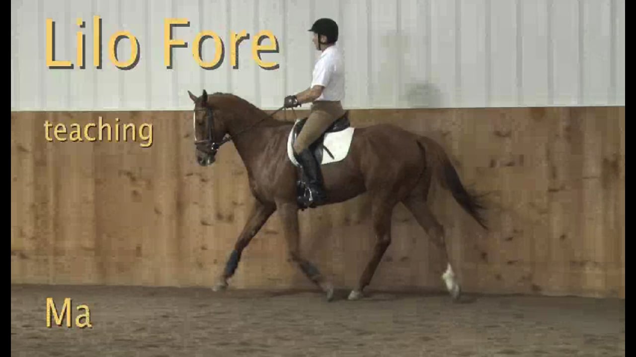 Balance in the young Event horse - 2/2012, FarmVet/USDF Adult Clinic, Lilo Fore,