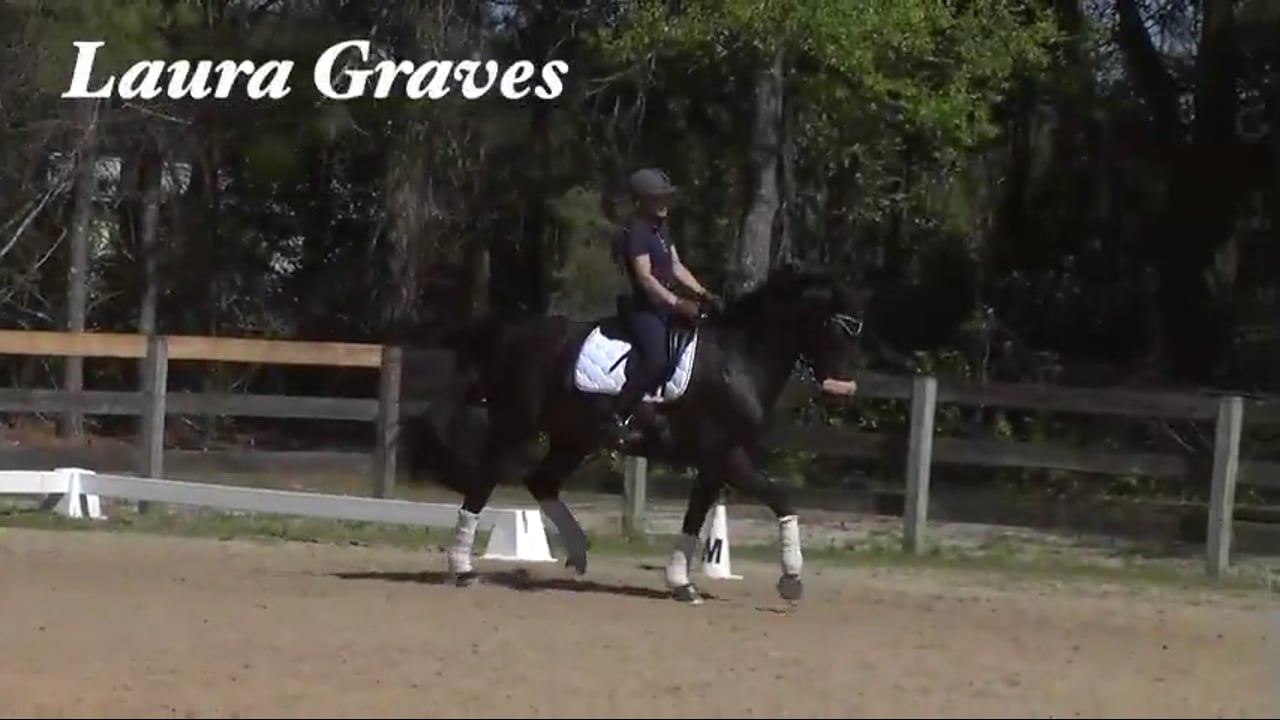 Always Forward | Laura Graves | PART 03