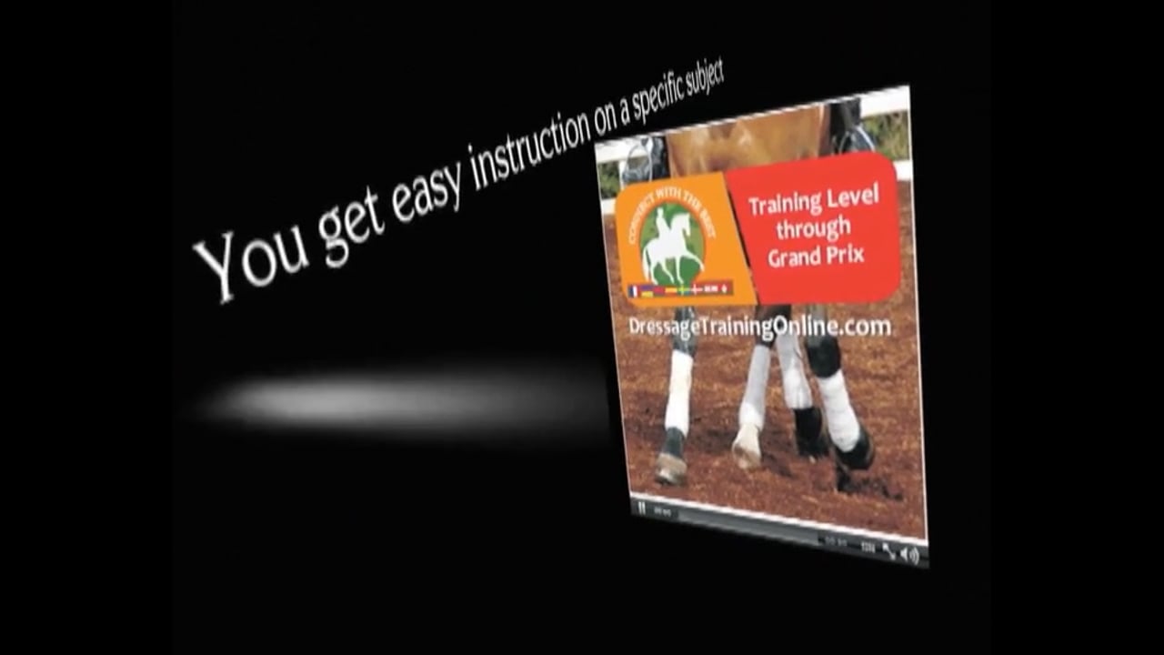 Basic Training in Lunging | Lammert Haanstra | PART 01