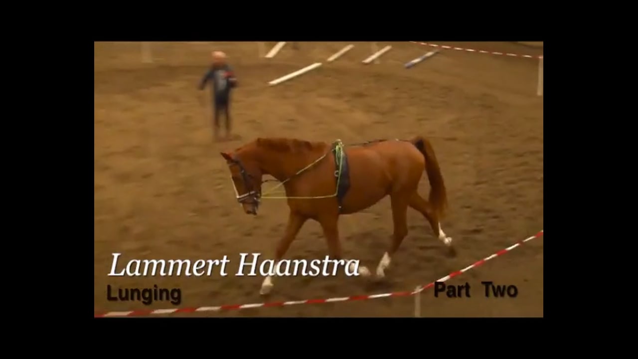 Basic Training in Lunging | Lammert Haanstra | PART 02
