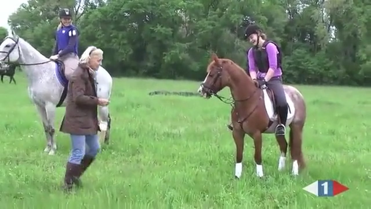 Beginner Novice | Lucinda Green | PART 01