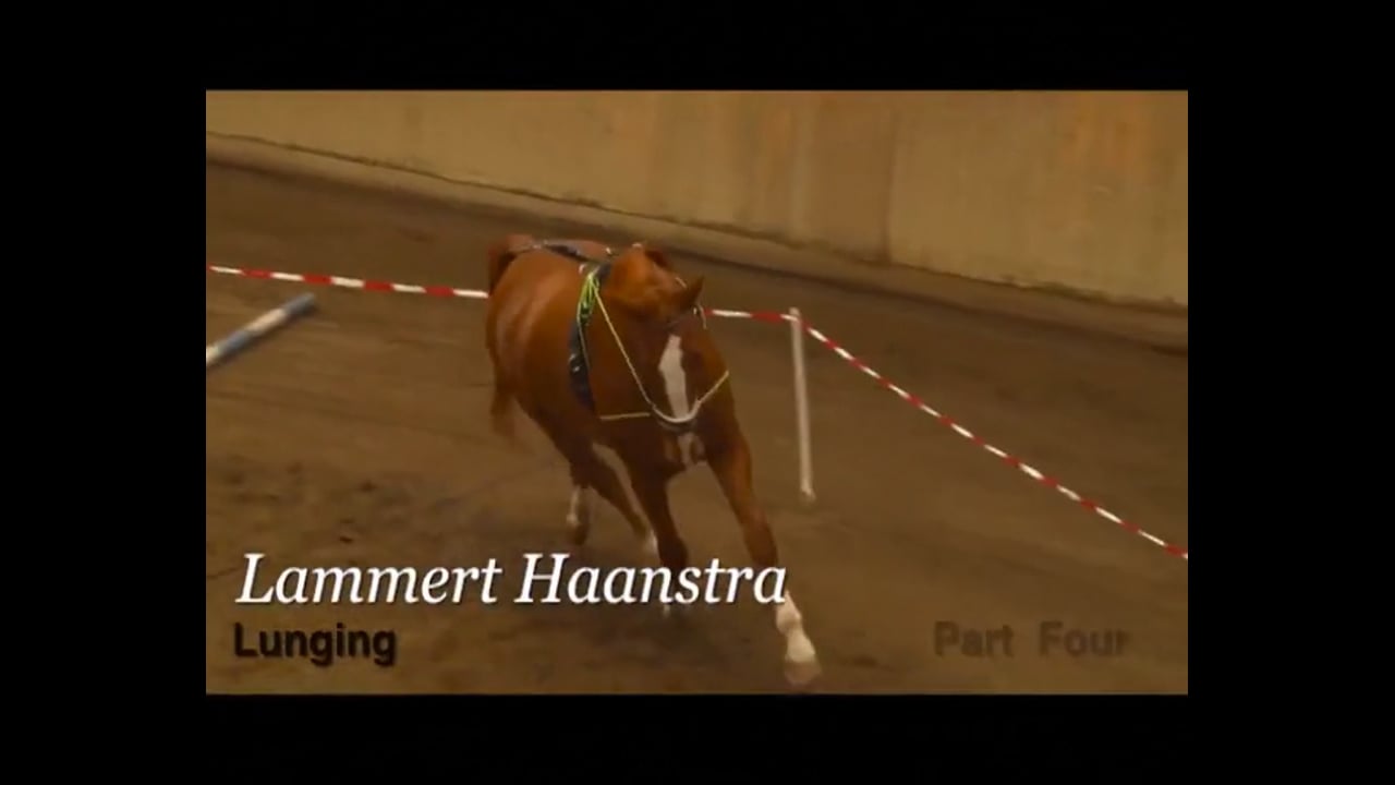 Basic Training in Lunging | Lammert Haanstra | PART 04