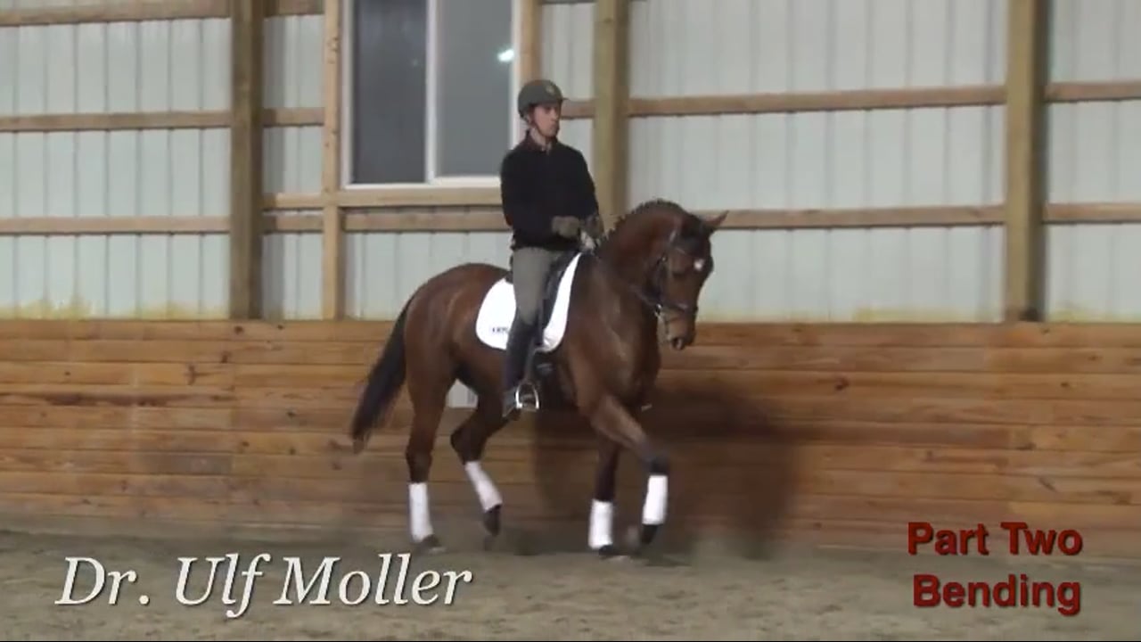 Bending and Half steps | Dr. Ulf Moller | PART 02