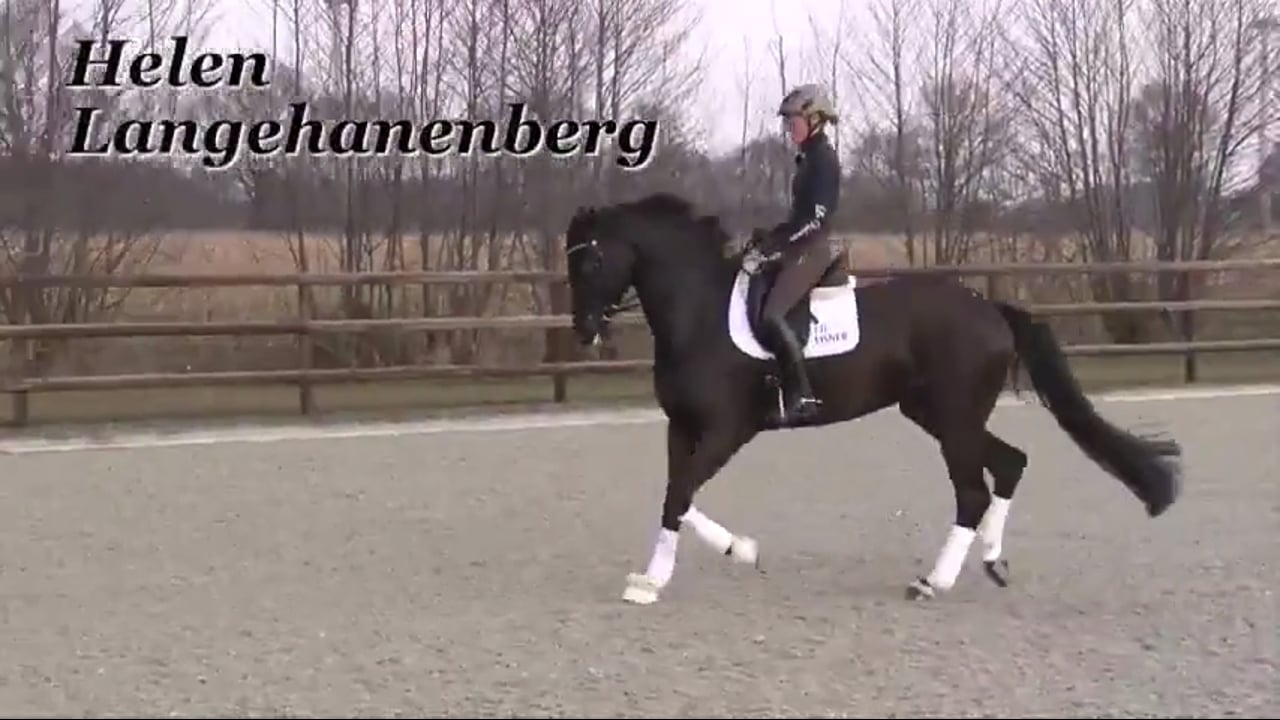 Benefits of a Good Warm Up | Helen Langehanenberg | PART 02