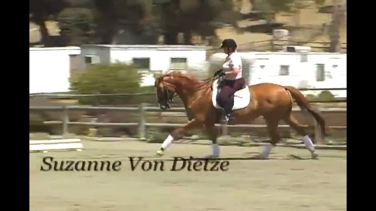 Body Position - Shoulder Mobility and Stability | Susanne von Dietze | PART 04