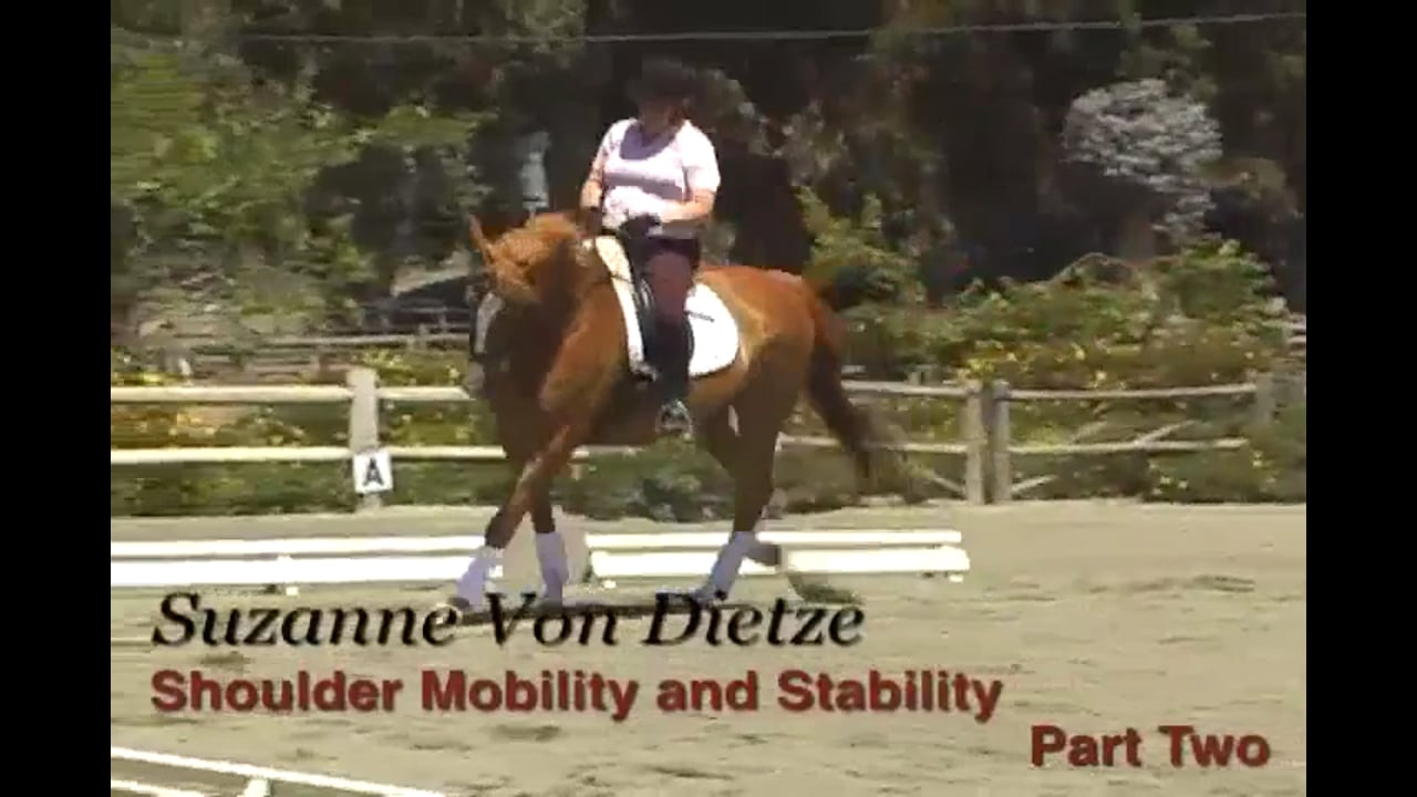 Body Position - Shoulder Mobility and Stability | Susanne von Dietze | PART 02