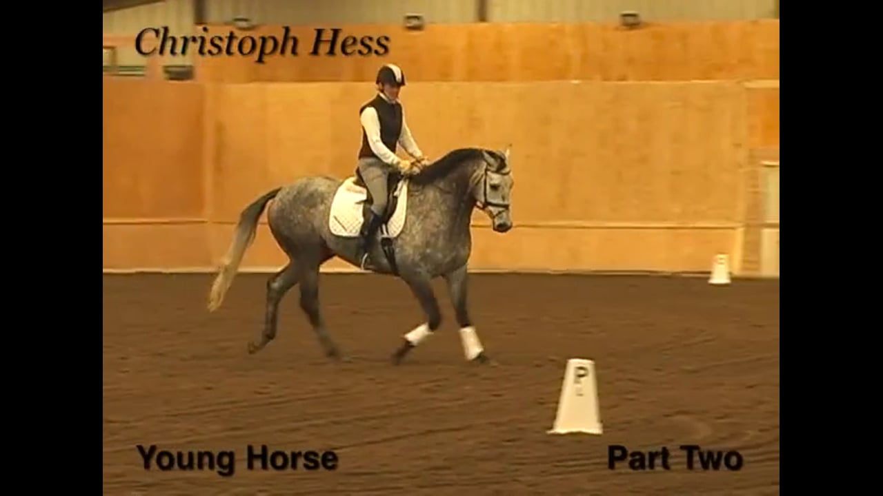Young Horses: Building the Foundation of Training | Christoph Hess | PART 02