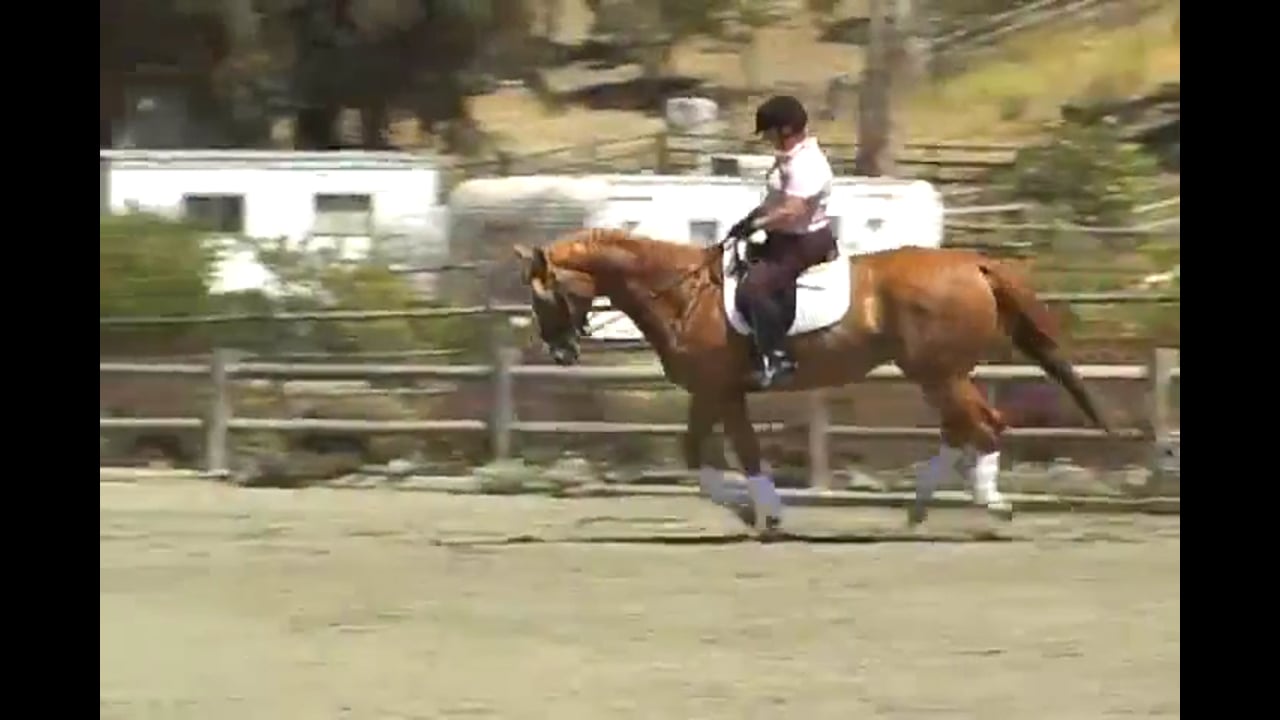 Body Position - Shoulder Mobility and Stability | Susanne von Dietze | PART 03