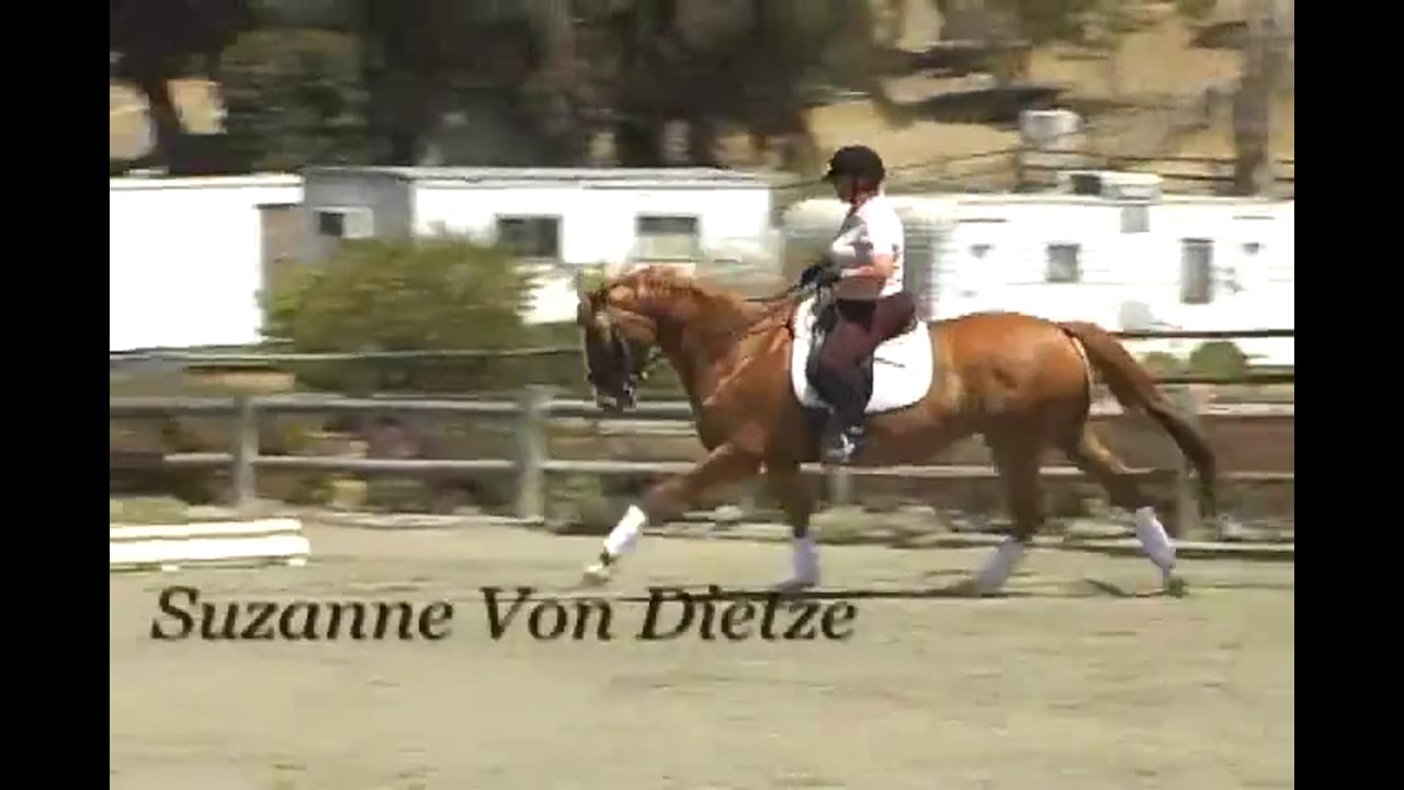 Body Position - Shoulder Mobility and Stability | Susanne von Dietze | PART 05