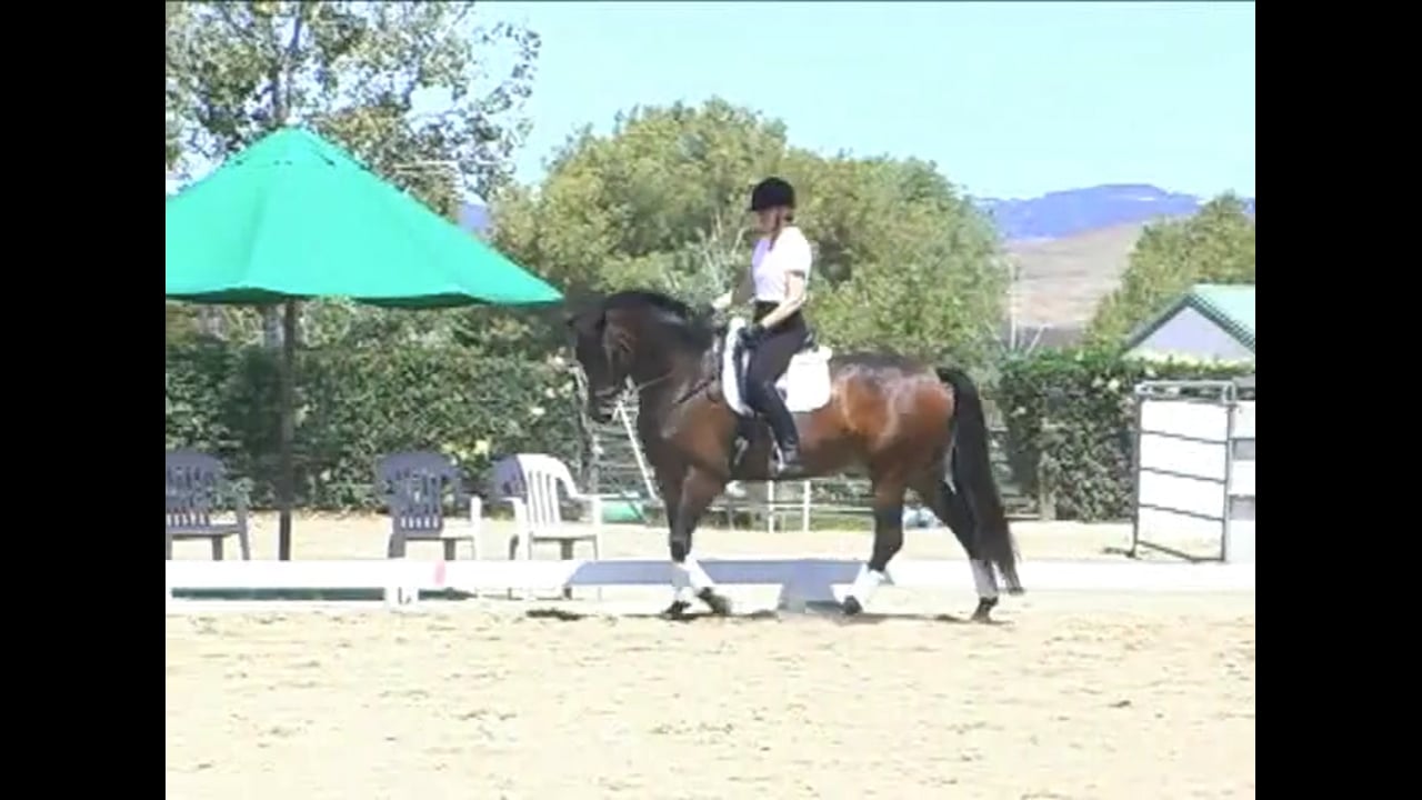 Basic Leg Yield Training | Charlotte Bredahl Baker | PART 03