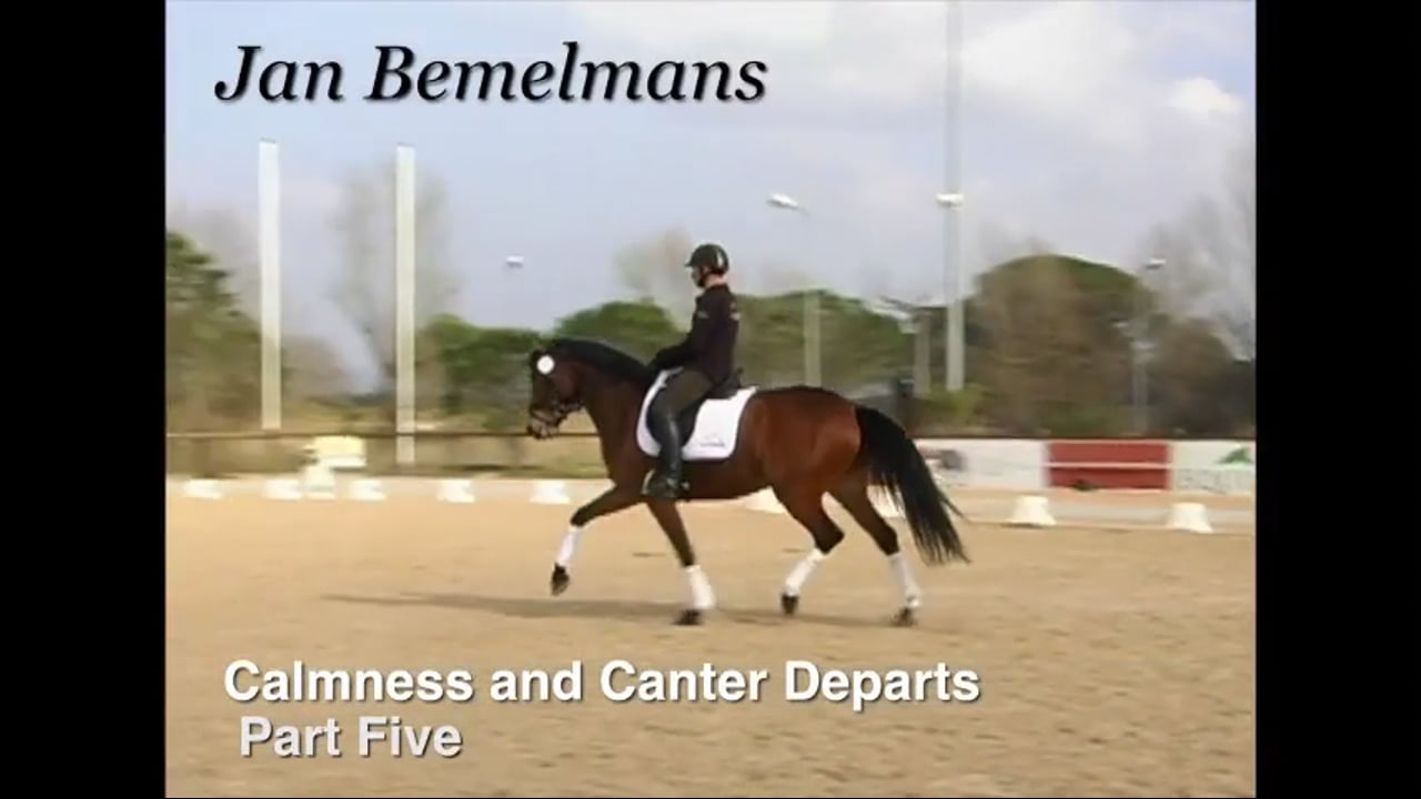 Calmness and Canter Departs, 5 YO, Free Walk | Jean Bemelman | PART 05
