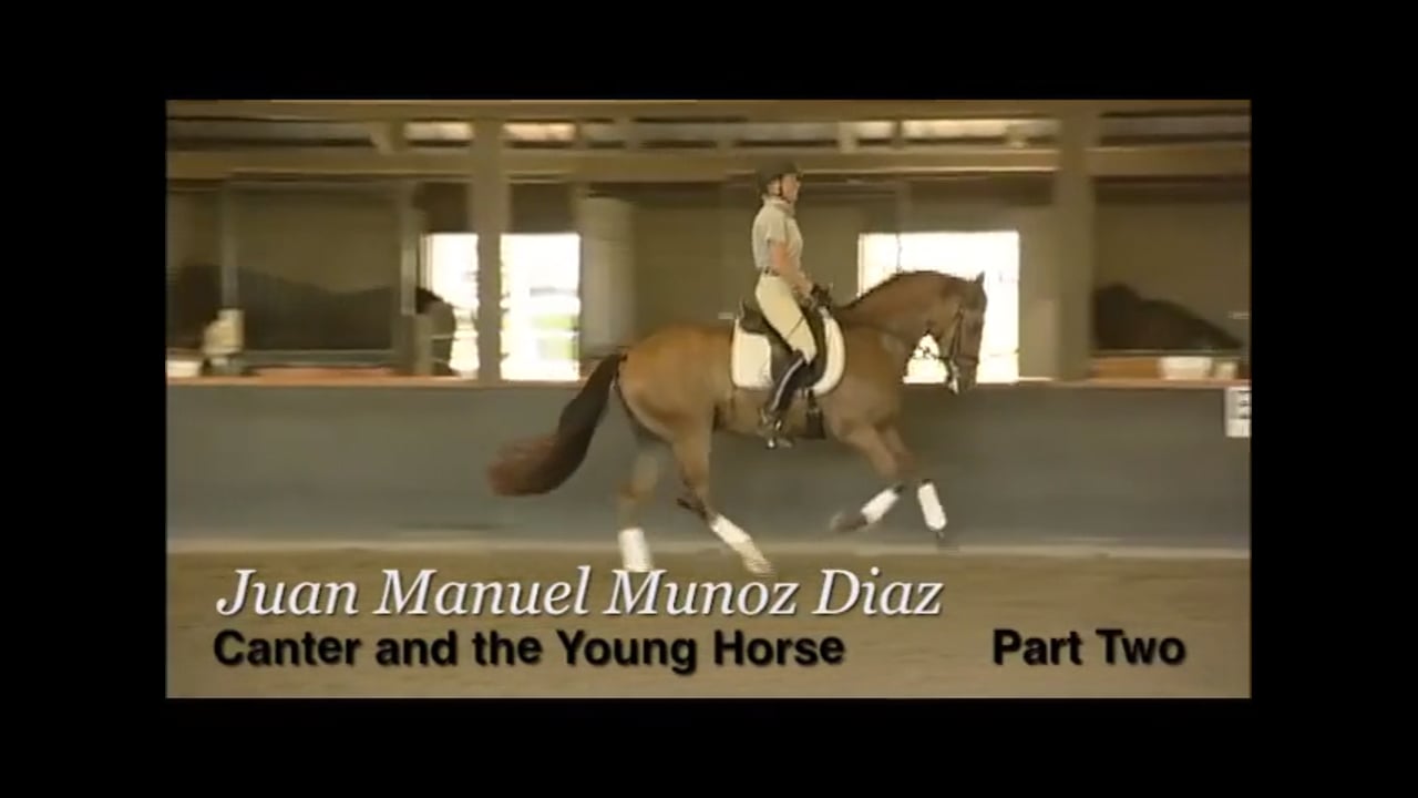 Canter & the Young Horse at Training Level | Juan Manuel Munoz Diaz | PART 02