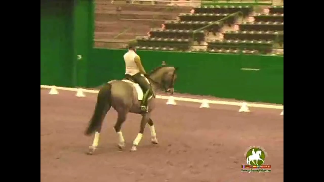 Canter & Walk Pirouettes, Tempi Changes, Piaffe & Passage | Jan Brink | PART 02