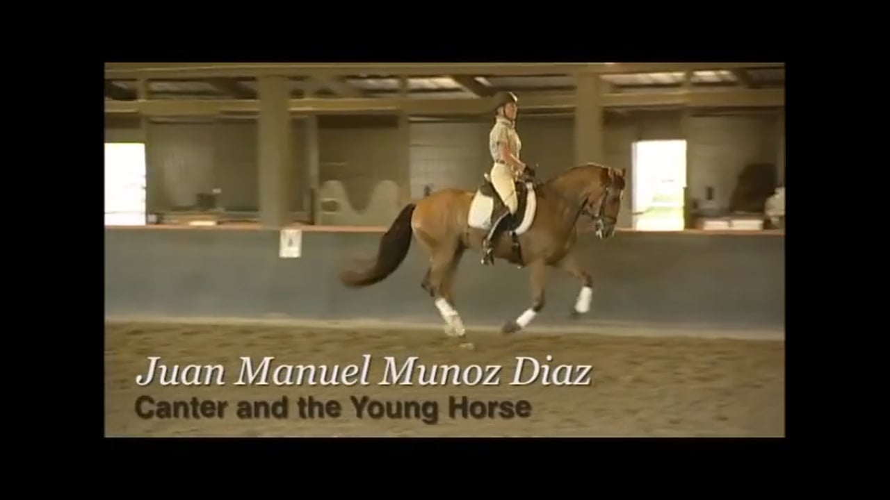 Canter & the Young Horse at Training Level | Juan Manuel Munoz Diaz | PART 01