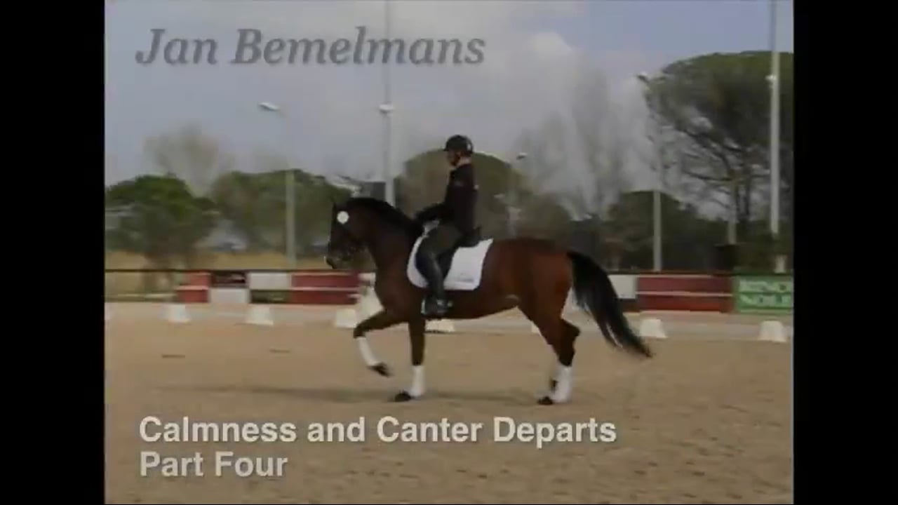 Calmness and Canter Departs, 5 YO, Free Walk | Jean Bemelman | PART 04