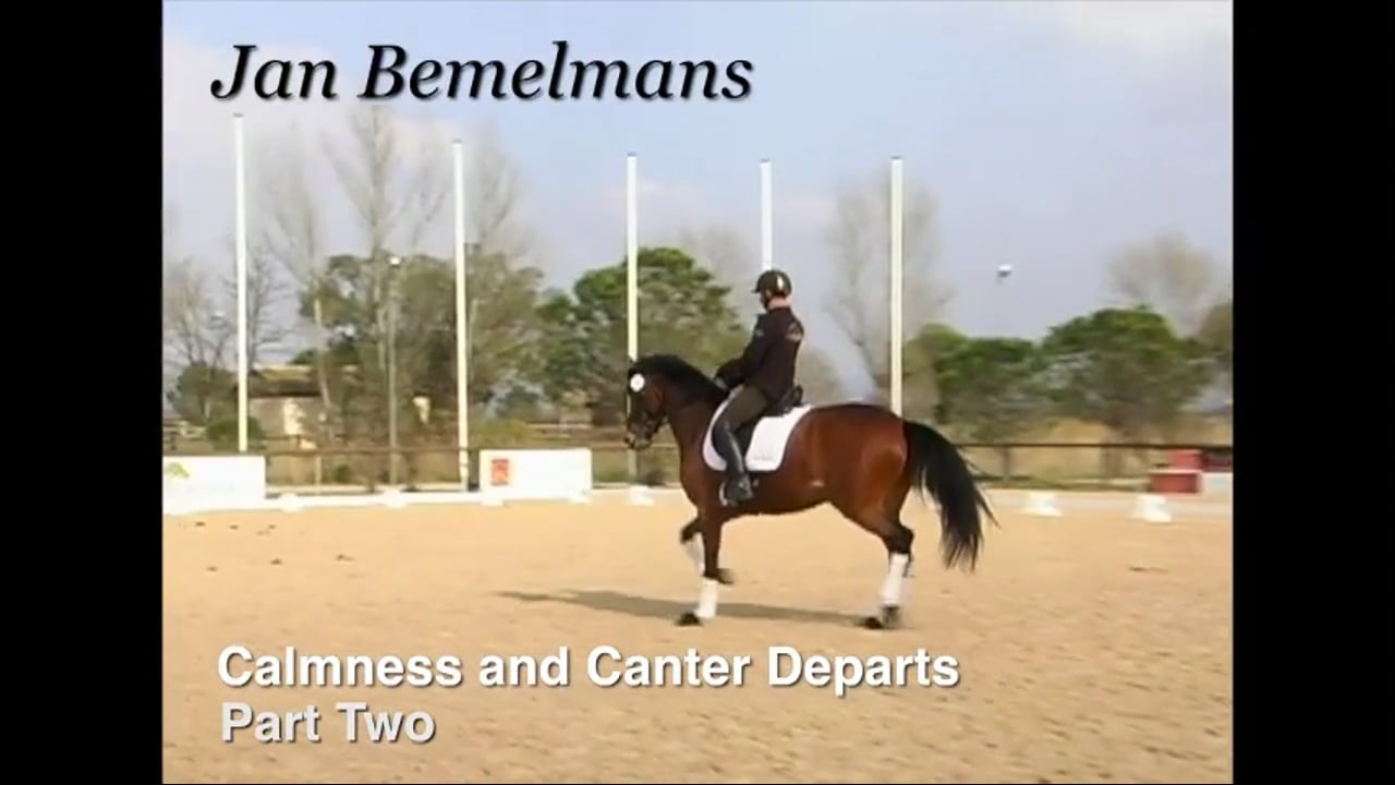 Calmness and Canter Departs, 5 YO, Free Walk | Jean Bemelman | PART 02