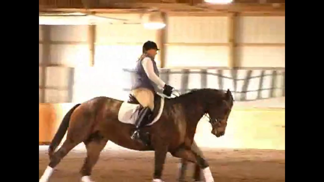 Canter Quality and Keeping the Horse Forward | Chrissa Hoffman | PART 03