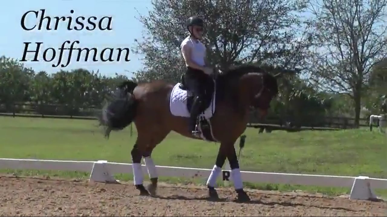 Bringing Bounce to the Trot | Chrissa Hoffman | PART 03