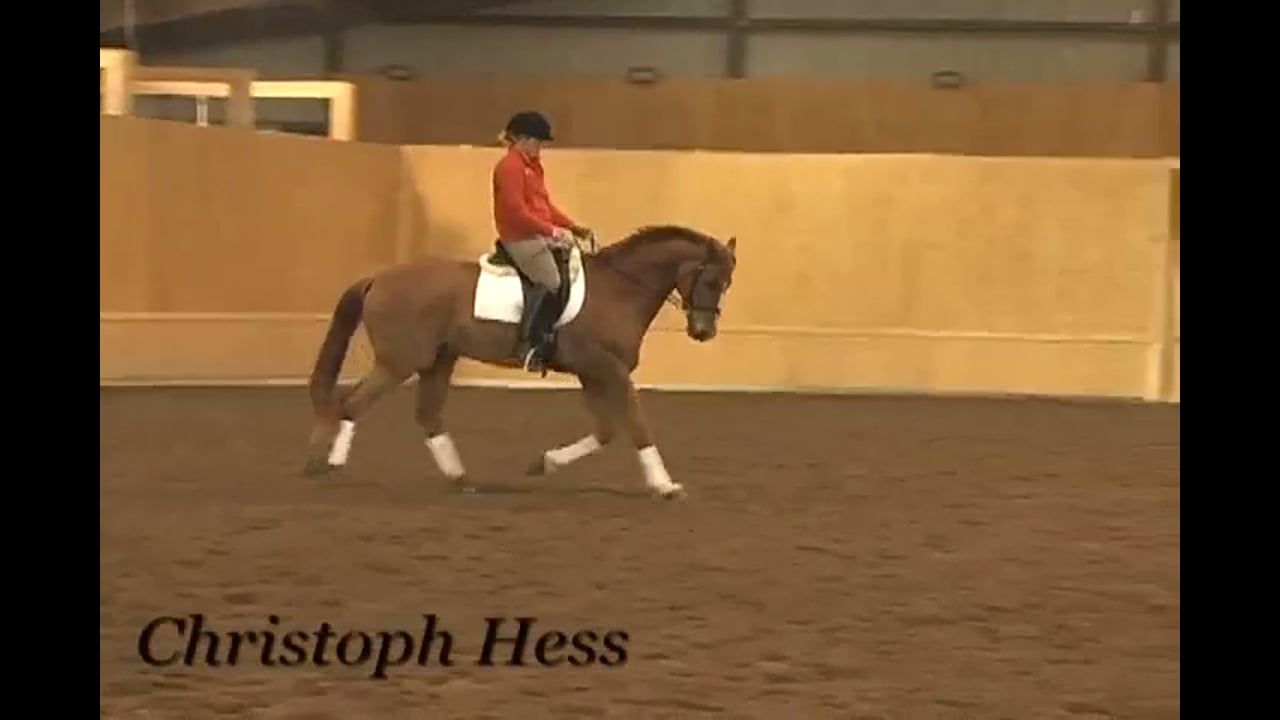 Canter Rhythm | Christoph Hess | PART 03