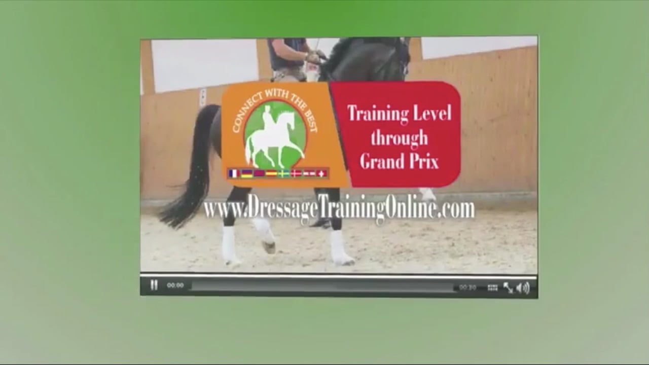 Calmness and Canter Departs, 5 YO, Free Walk | Jean Bemelman | PART 01