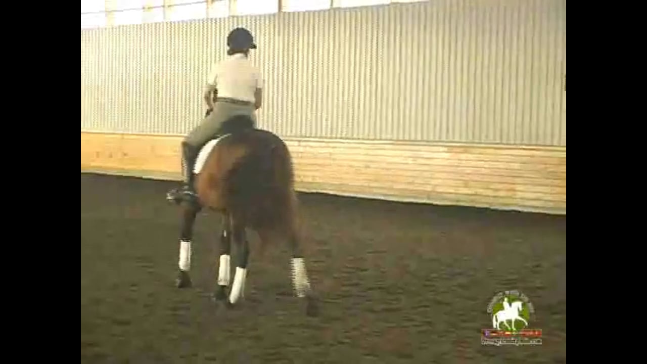 Canter Pirouette, Piaffe Passage | Colonel Christian Carde | PART 02