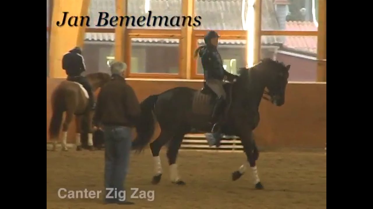 Canter Zig Zag, Piaffe and Passage, Zig Zag Half Pass | Jan Bemelmans | PART 02