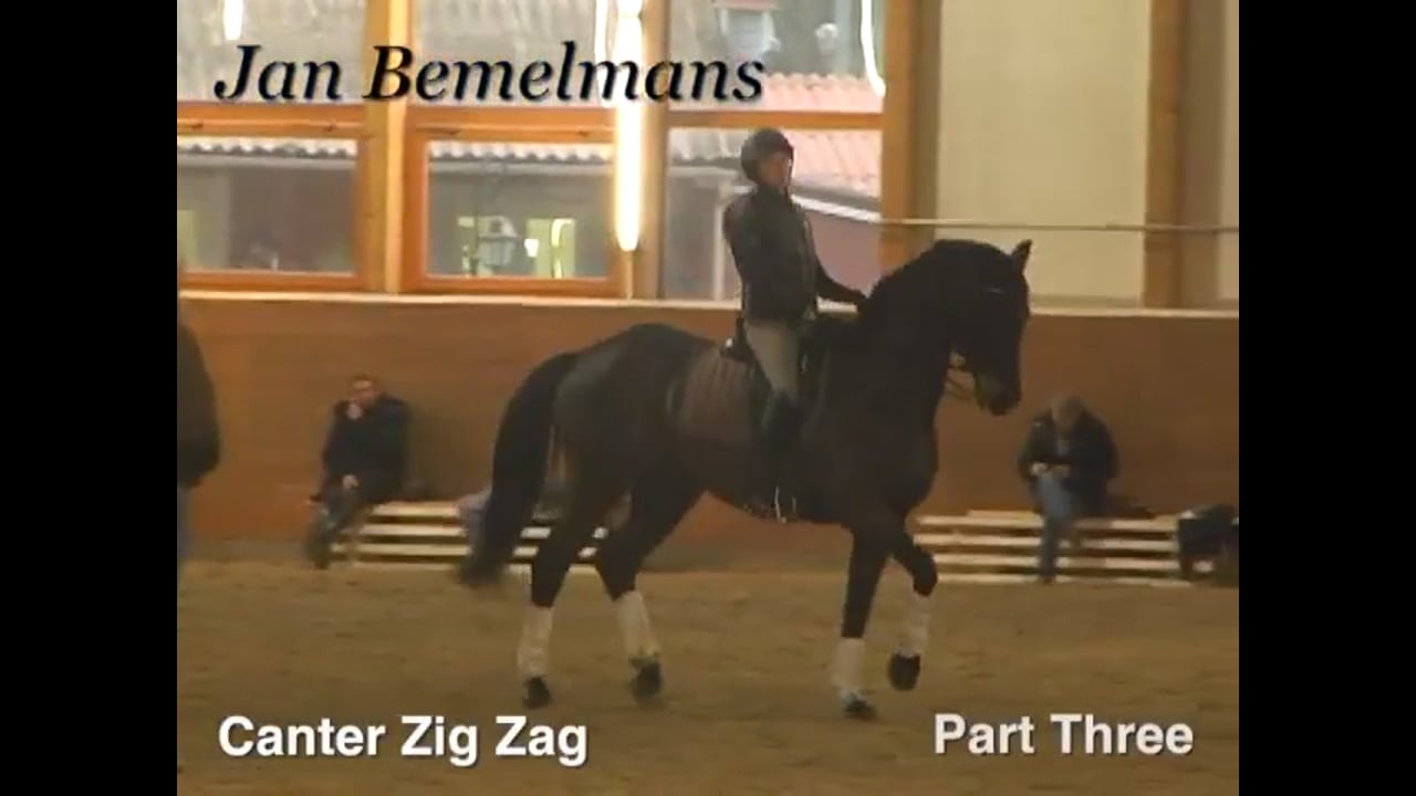 Canter Zig Zag, Piaffe and Passage, Zig Zag Half Pass | Jan Bemelmans | PART 03