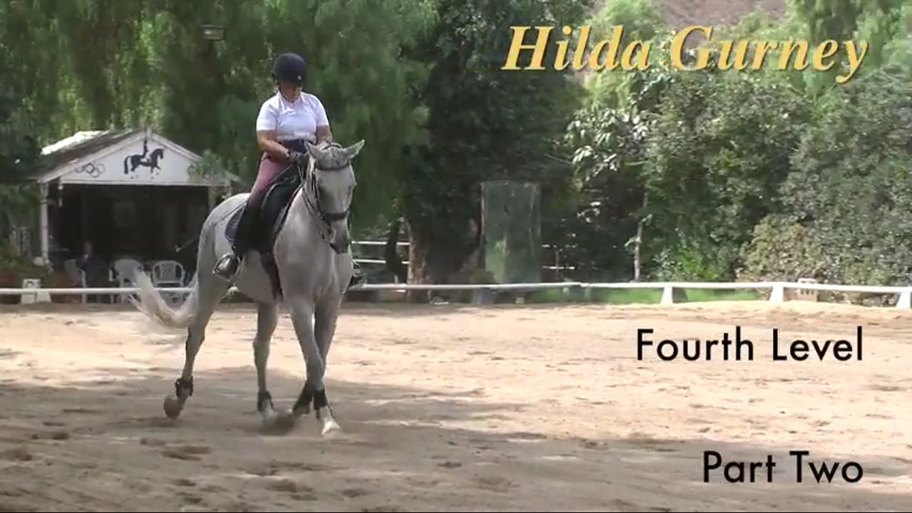 Bend, Square Halt, Collection, Tempi Changes | Hilda Gurney | PART 02