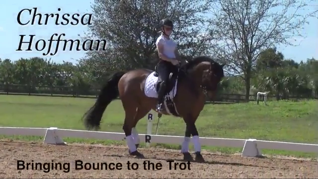 Bringing Bounce to the Trot | Chrissa Hoffman | PART 02