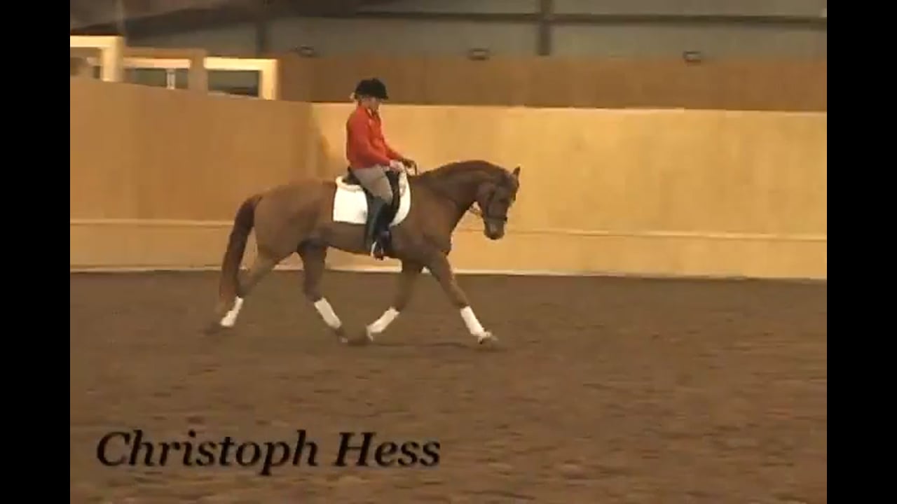 Canter Rhythm | Christoph Hess | PART 05