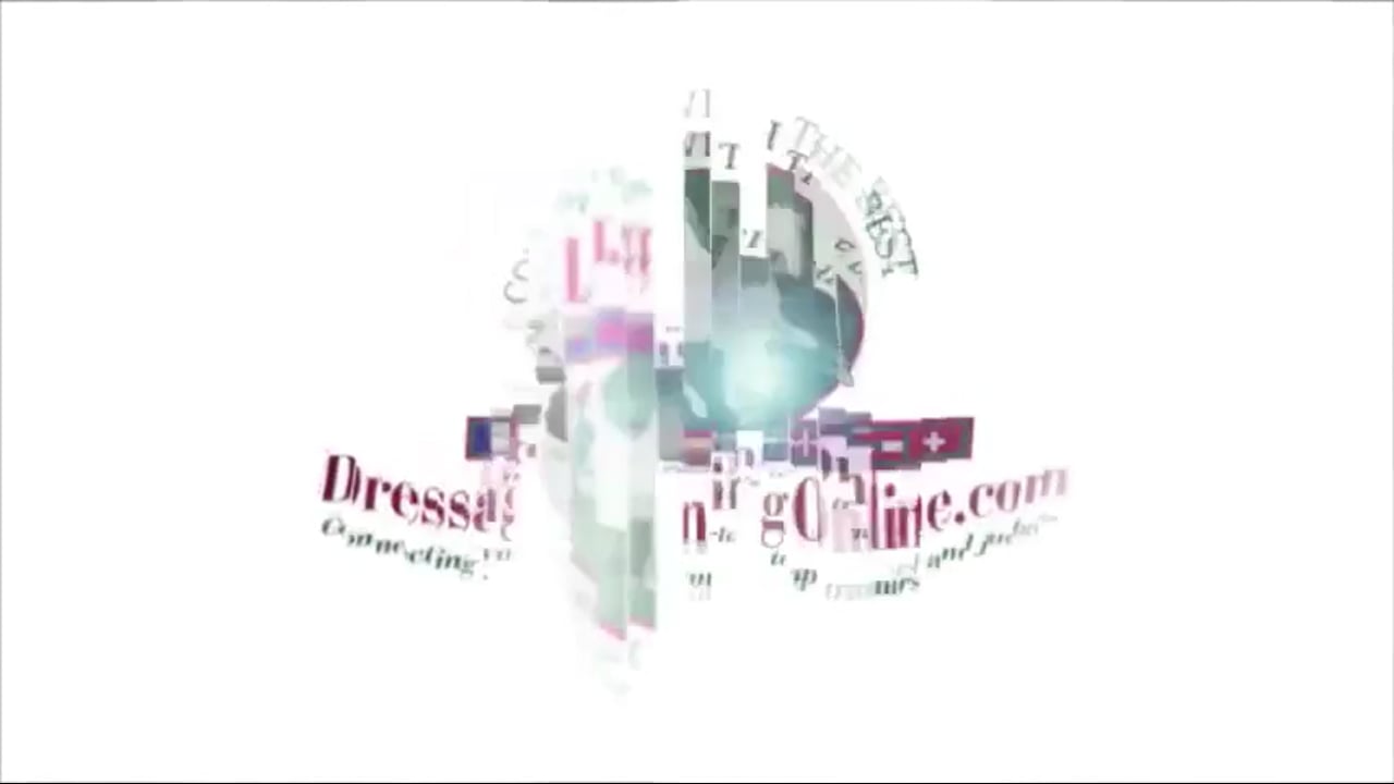 Canter Zig-Zag | Catherine Haddad