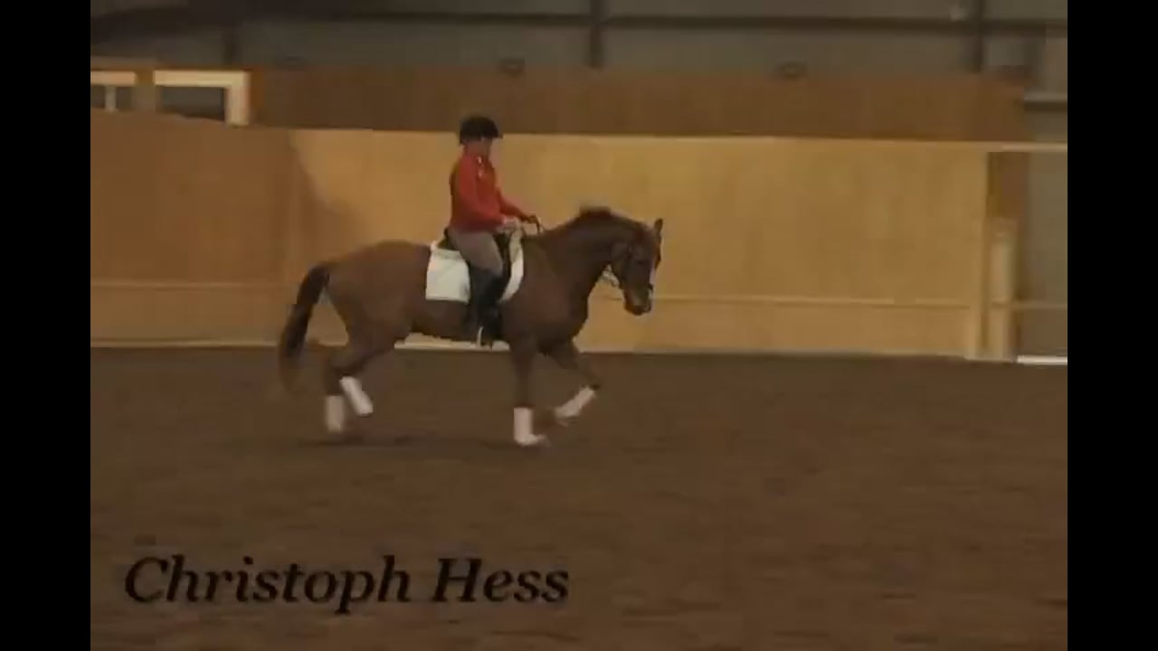 Canter Rhythm | Christoph Hess | PART 07