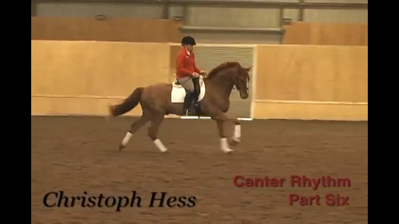 Canter Rhythm | Christoph Hess | PART 06