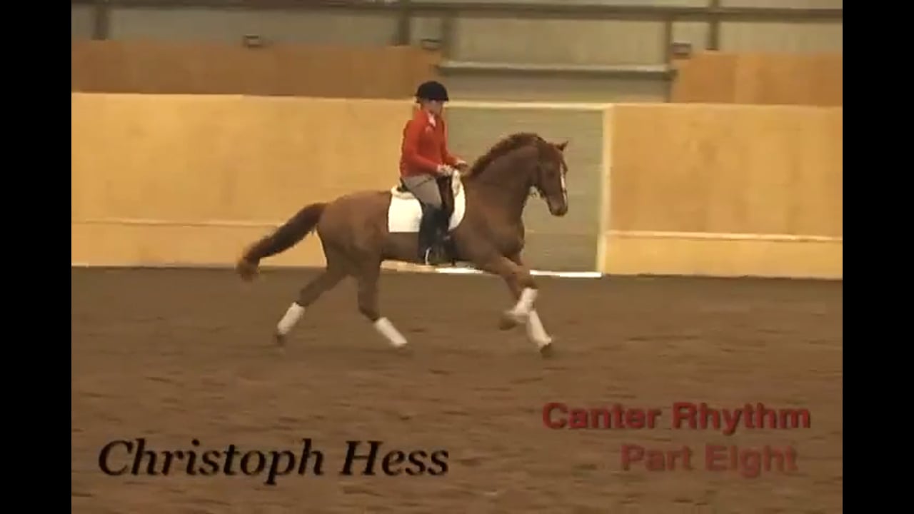 Canter Rhythm | Christoph Hess | PART 08