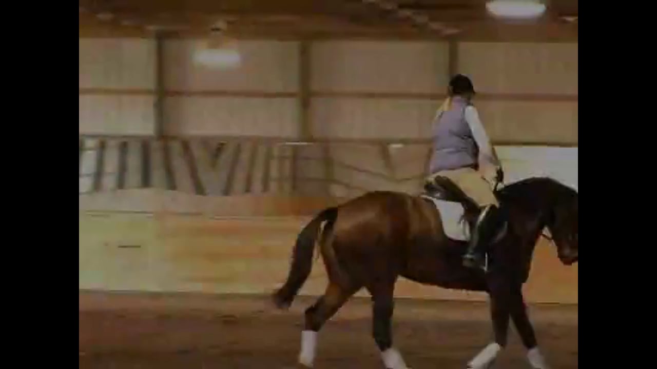 Canter Quality and Keeping the Horse Forward | Chrissa Hoffman | PART 02