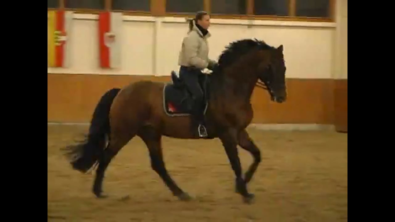 Carde shows you his, repetitive, patient, kind manner in which he wants you to s