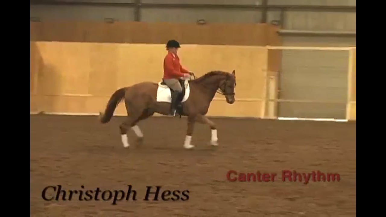 Canter Rhythm | Christoph Hess | PART 02