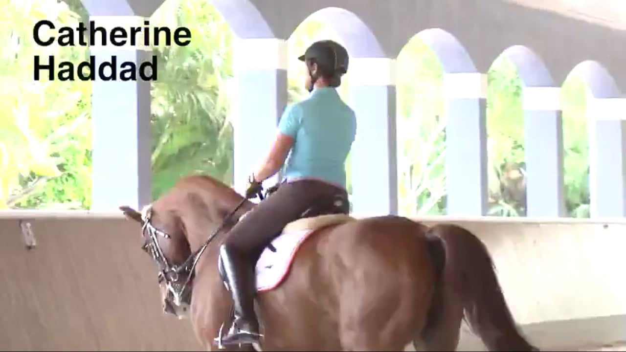 Canter Zig-Zag | Catherine Haddad | PART 02