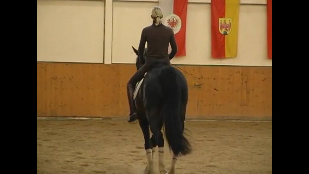Shoulder In, Collected Canter & Pirouette | Caroline Kottas-Heldenberg | PART 02