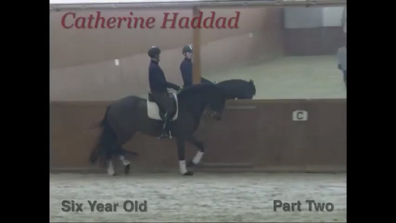 Six Year Old | Catherine Haddad | PART 02