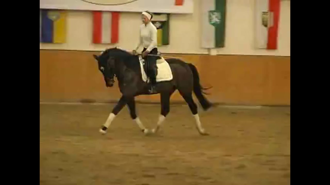 Shoulder In, Collected Canter & Pirouette | Caroline Kottas-Heldenberg | PART 04