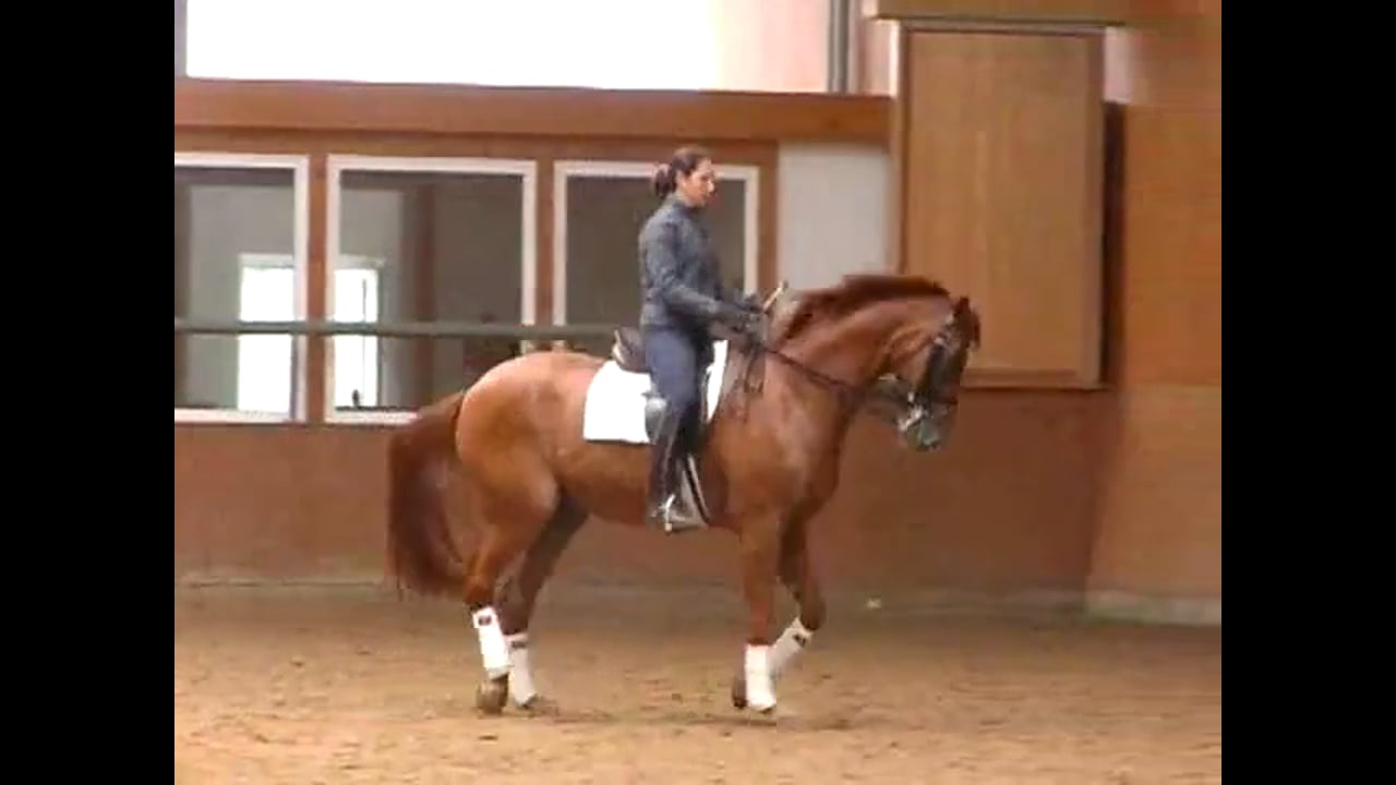 Collective Marks - Coefficients, How to Improve Your Score | Catherine Haddad