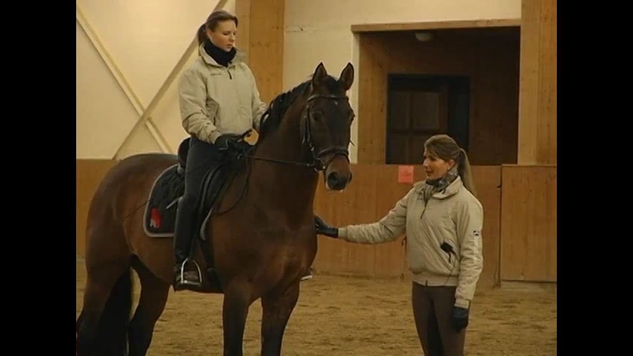 Help the Horse Stretch Over the Back | Caroline Kottas-Heldenberg | PART 01