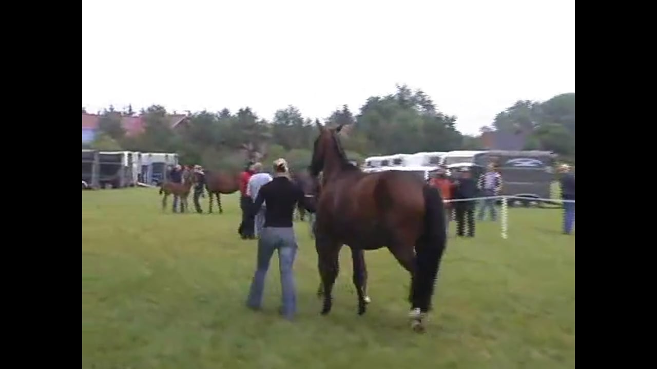 Catherine Haddad & The Double Bridle Part 2