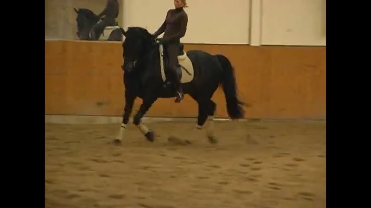 Shoulder In, Collected Canter & Pirouette | Caroline Kottas-Heldenberg | PART 03