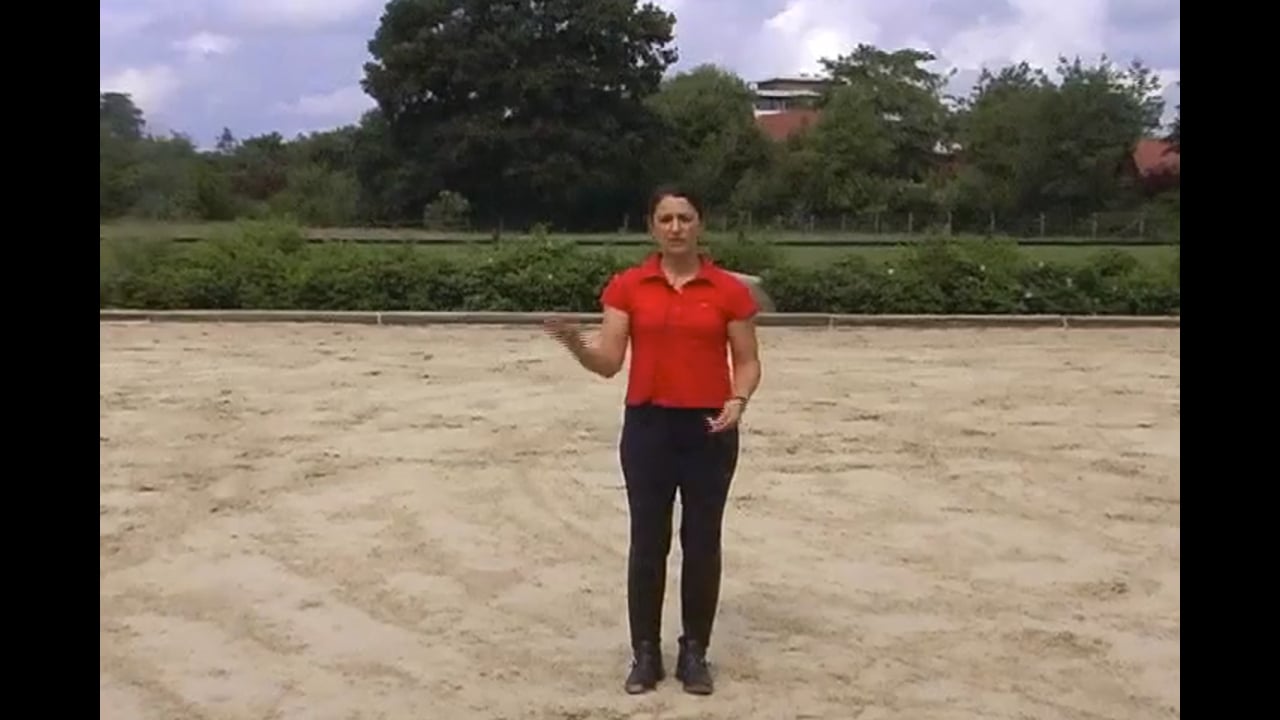 How to Match the Horse with an Appropriate Rider | Catherine Haddad | PART 02