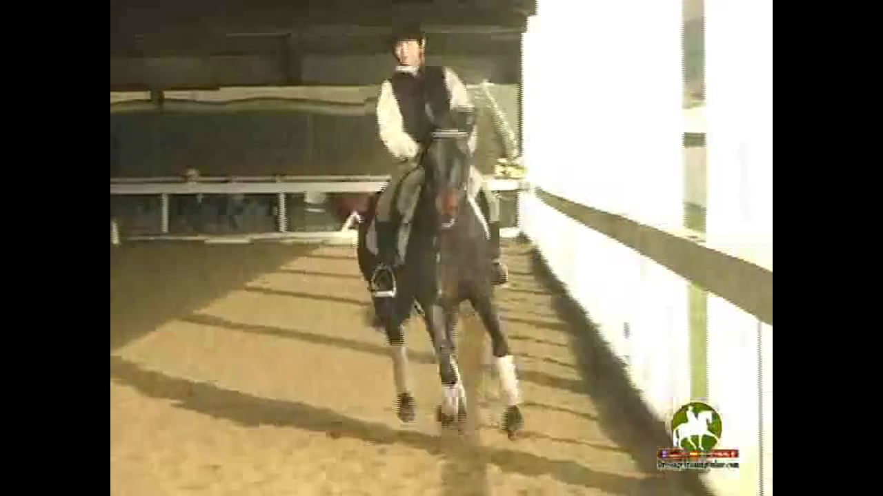 Flying Changes | Catherine Haddad | PART 01