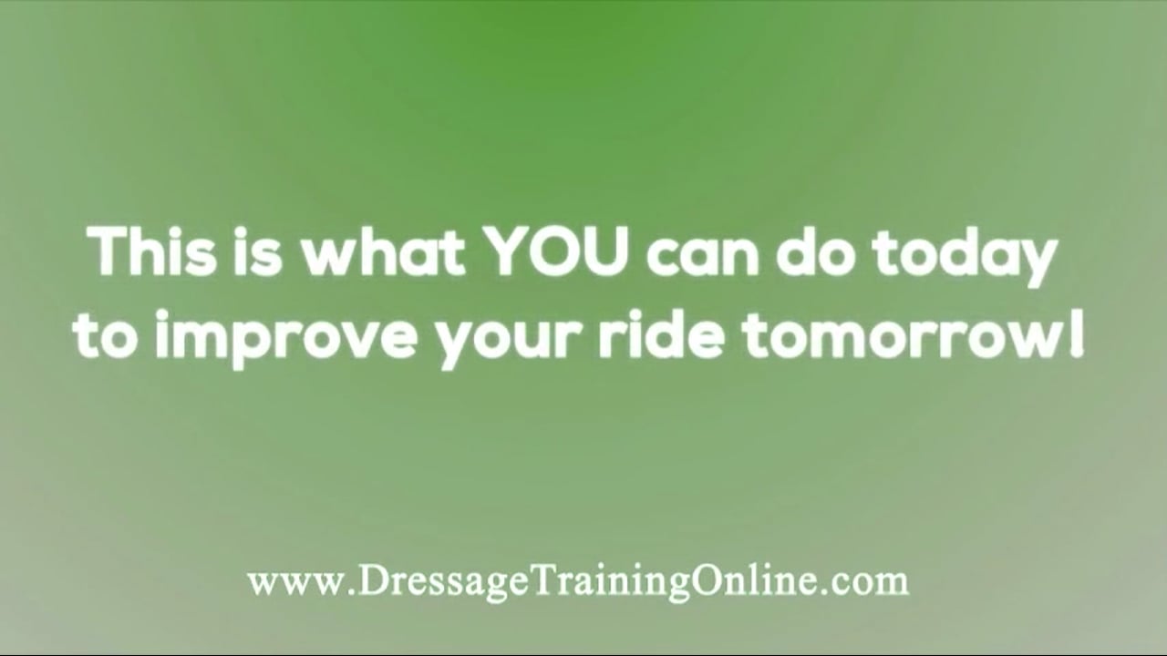 Canter Zig-Zag | Catherine Haddad | PART 01