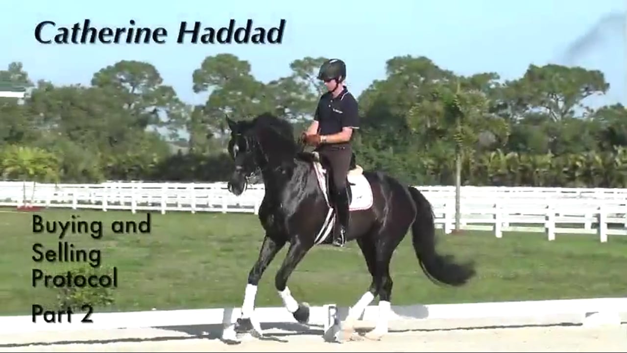 Buying and Selling | Catherine Haddad | PART 02