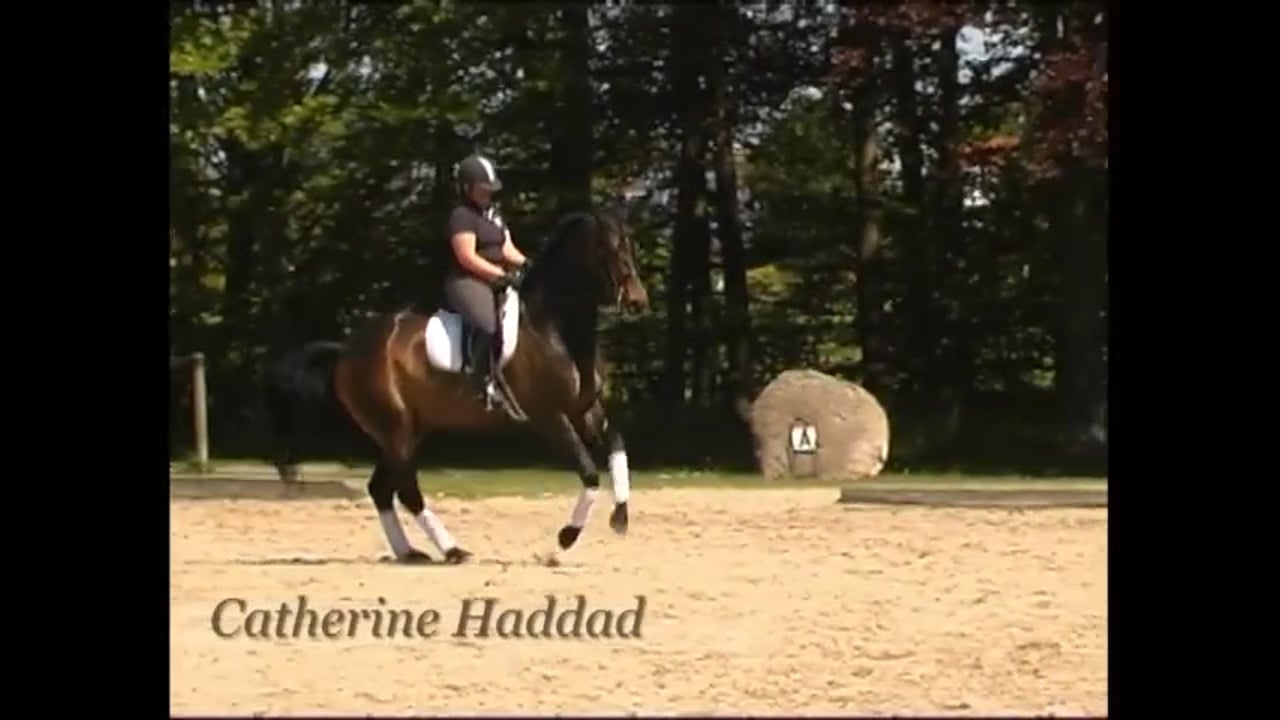 Changes and Pirouettes | Catherine Haddad | PART 02